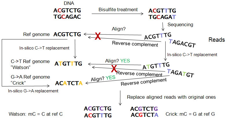 lister protocol